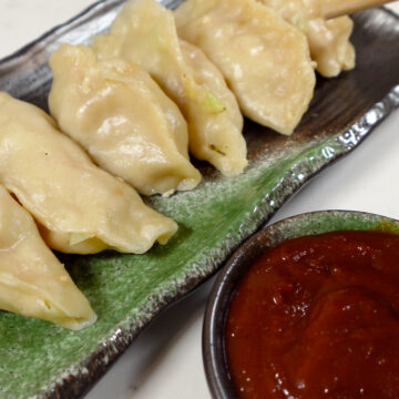 tofu cabbage dumplings vegan